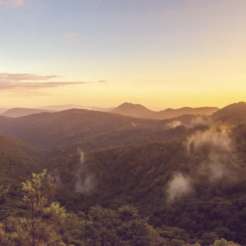 Forested ridges of Springbrook National Park receding into morning mist, a peak on the horizon.