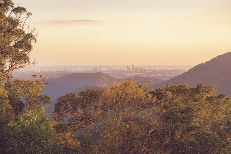 The Gold Coast hinterland seen from Mount Tamborine, wooded hills falling away to the coastline on the horizon.
