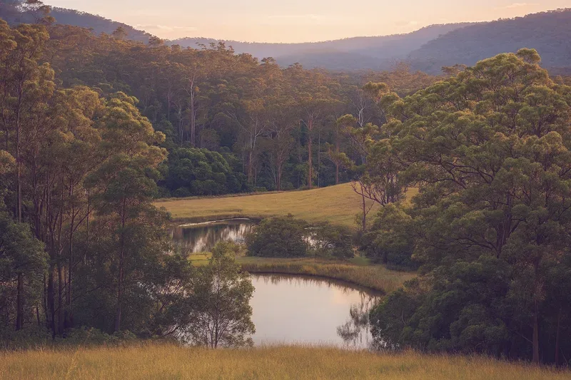 A small dam in a cleared valley at Numinbah Valley, ringed by eucalypt forest with hills beyond.